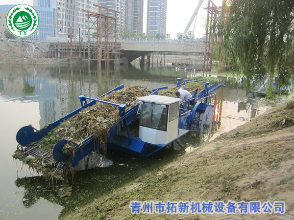 销往徐州割草船【工作视频】